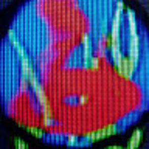 Meet your Posher, Damien